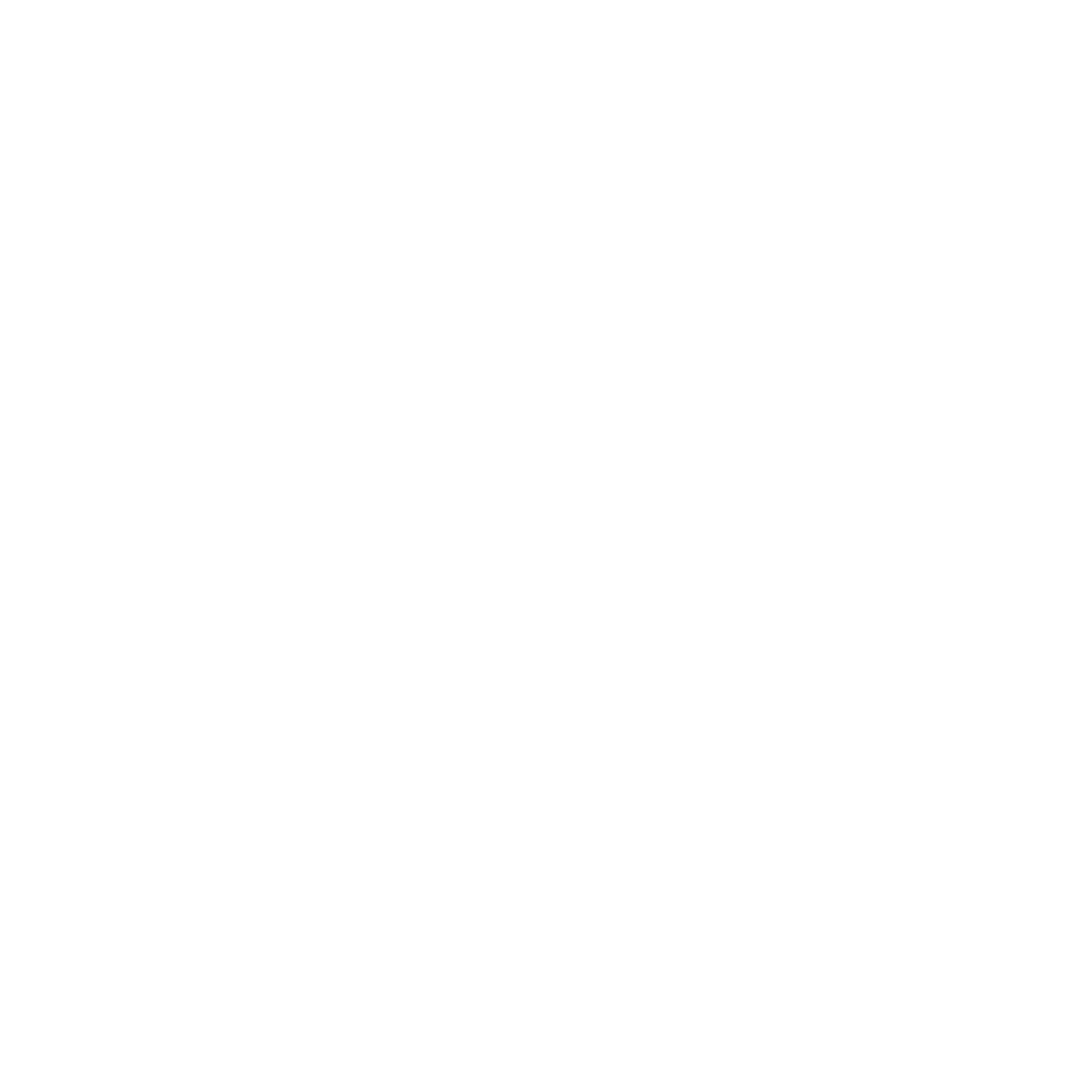 Instagram icon WHITE